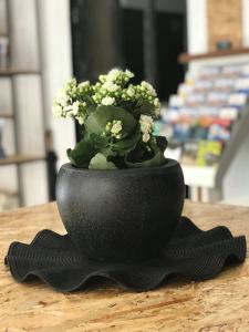 piraeus premium suites