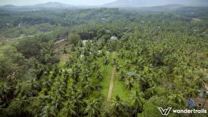 teak town