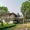 teak town