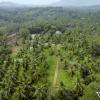 teak town
