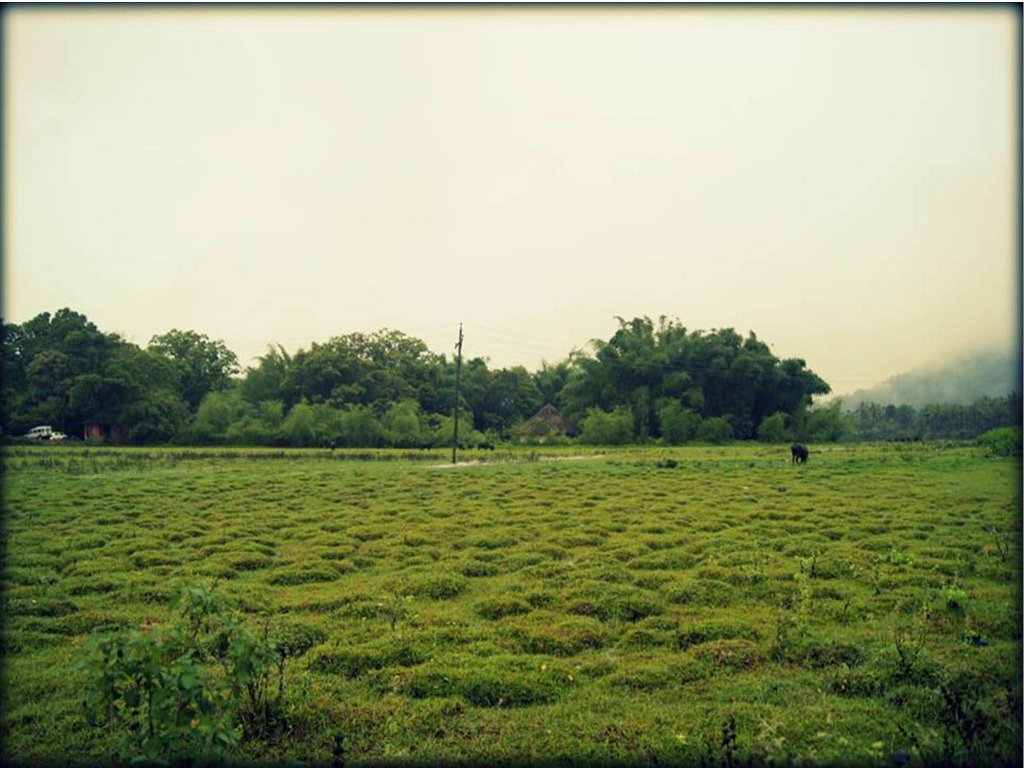 Elephant Route Resort,Kumily>>Kattappana,4 star