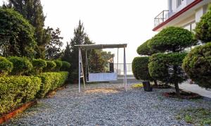 treebo trend sapphire inn