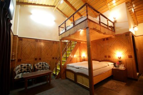 ashokas naini chalet pangot