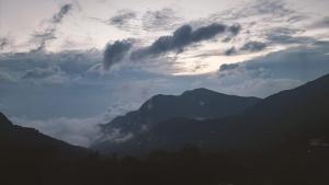ashokas naini chalet pangot