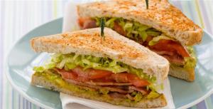 hotel shri ram residency