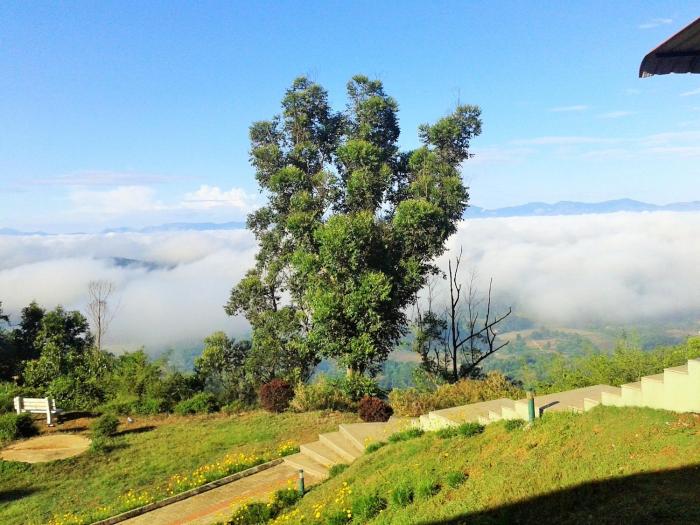 coorg