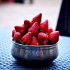 dv inns farmvilla besides strawberry farms