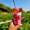 dv inns farmvilla besides strawberry farms