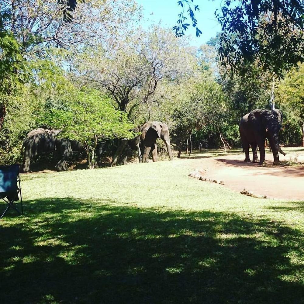 The Royal Sichango Village,Southern>>Livingstone,3 star