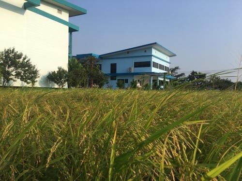 menam resort