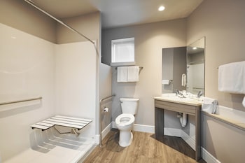 solo suites