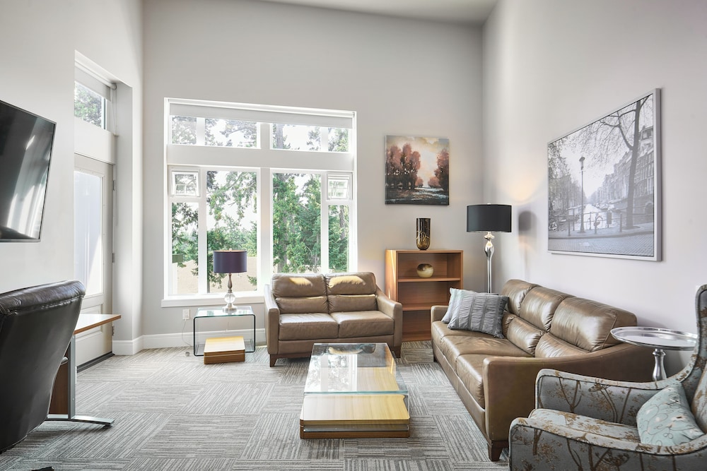 solo suites