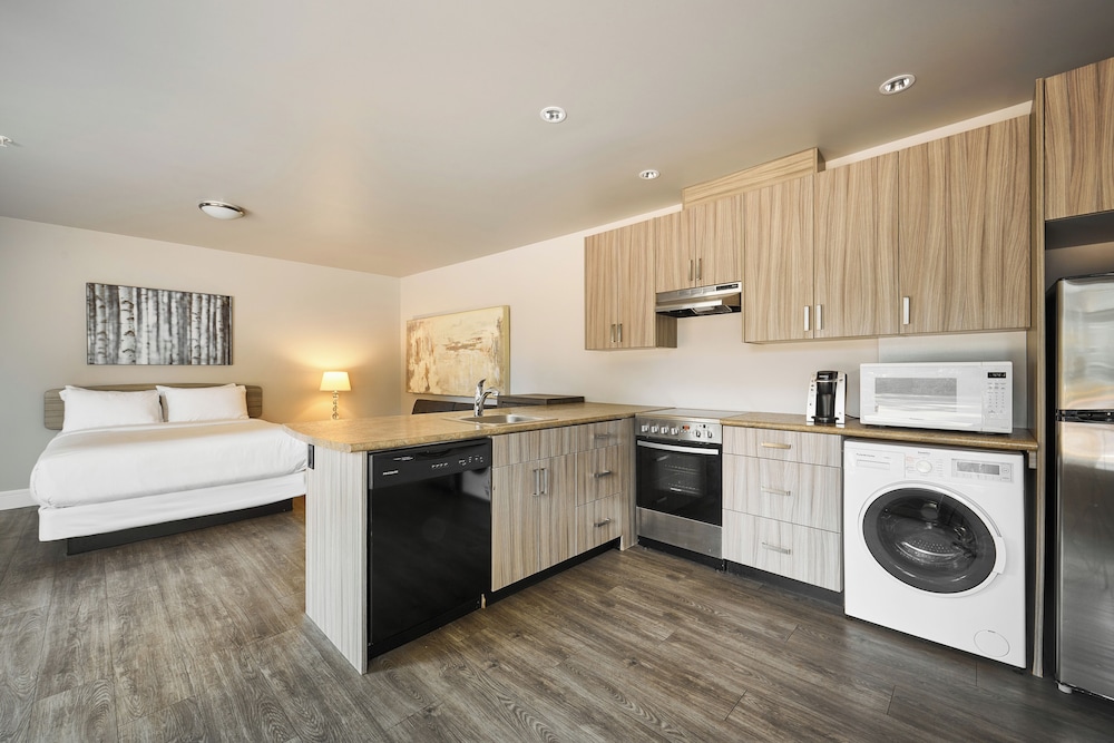 solo suites