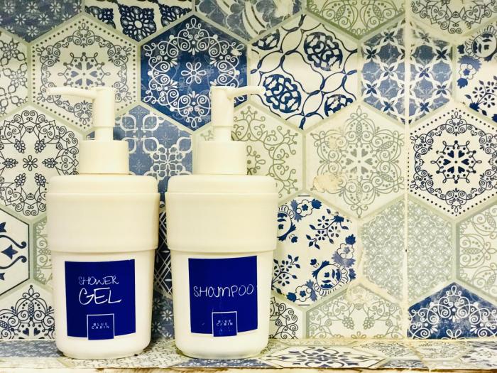 blu cabin ari stylish gay poshtel