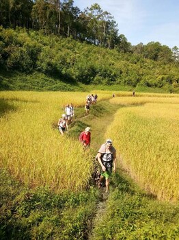 chiang mai