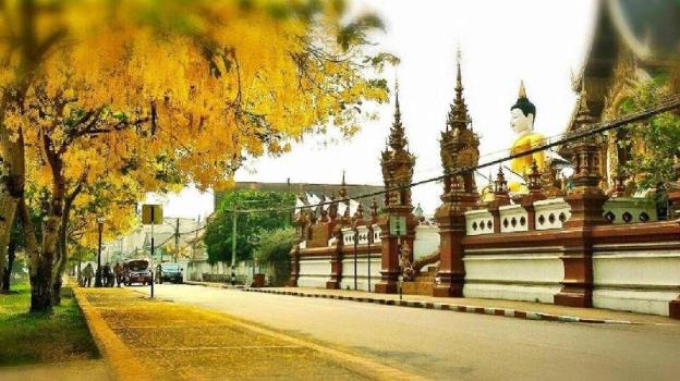 rich garden house hotel