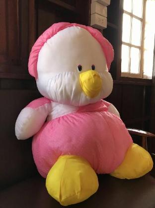 zzz hostel chiangkhan