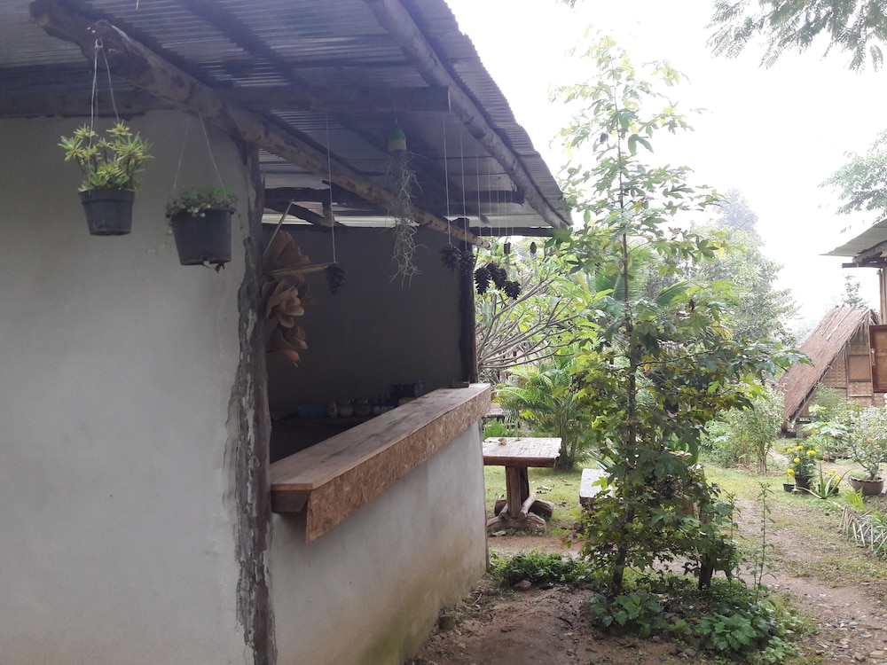 nusha homestay