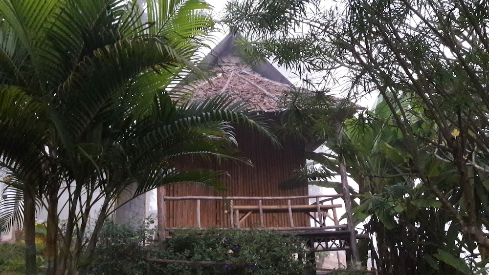 nusha homestay