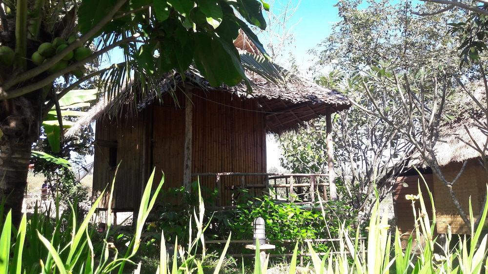 nusha homestay