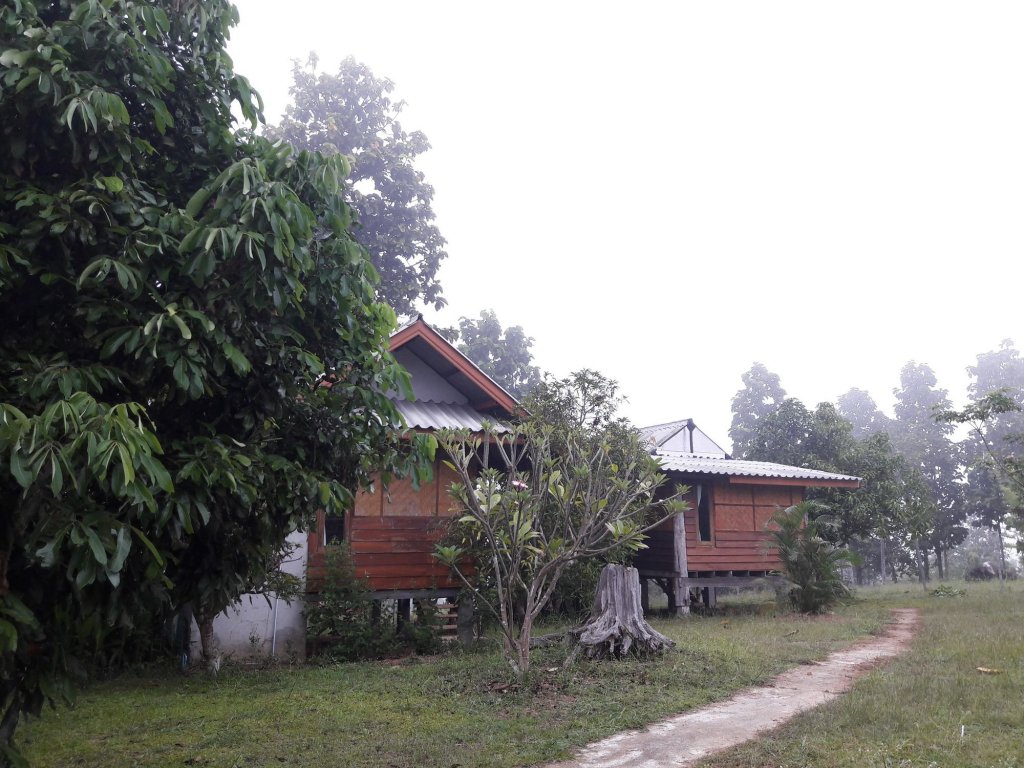 nusha homestay