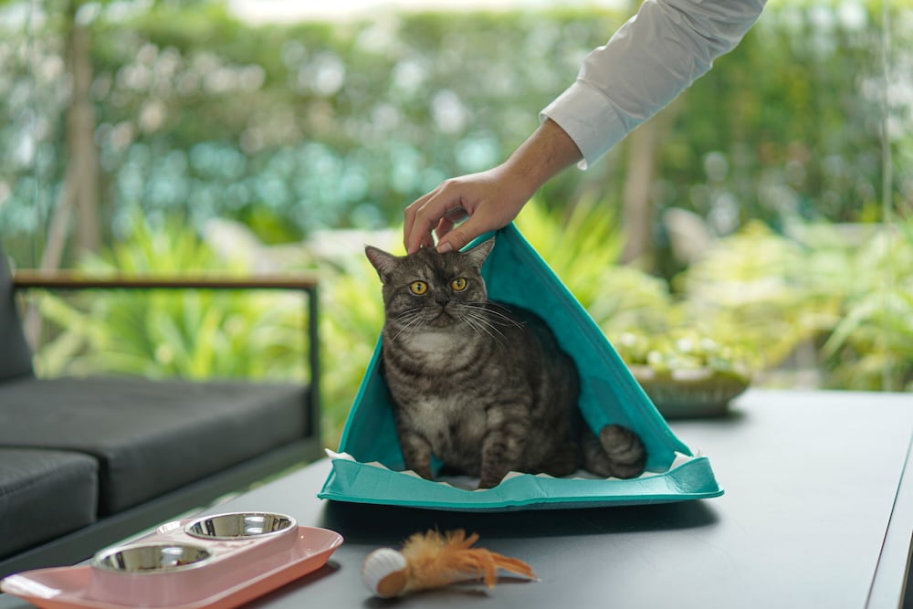 the singha hotel chiang mai sha certified