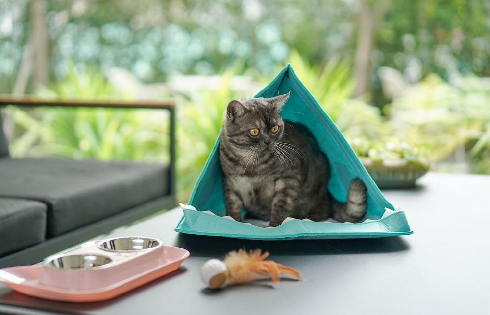 the singha hotel chiang mai sha certified