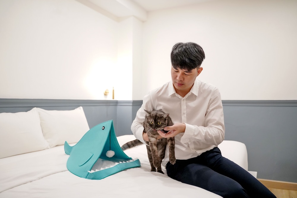 the singha hotel chiang mai sha certified