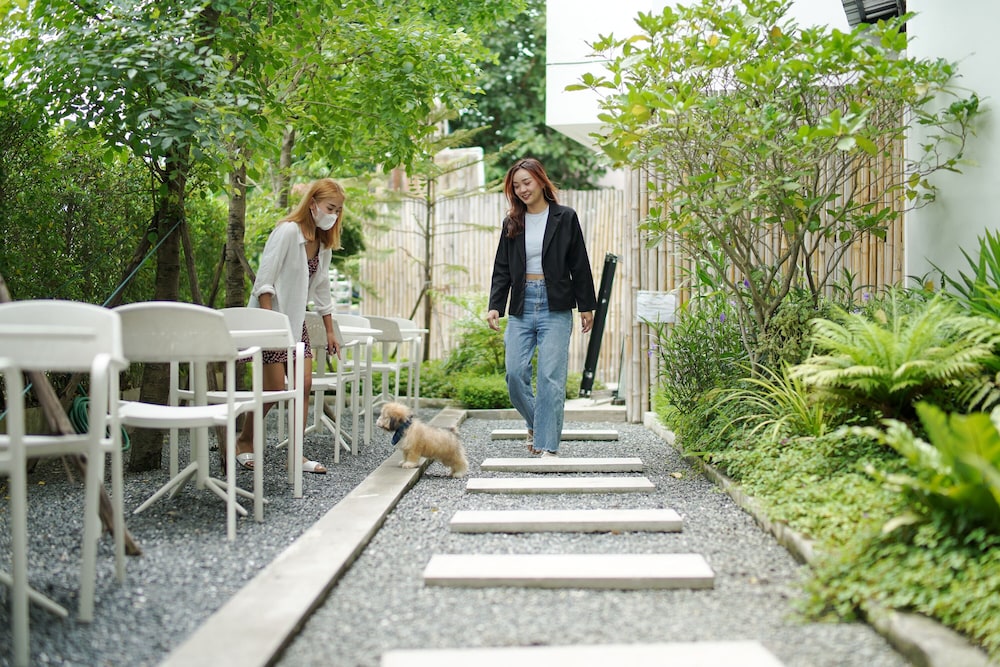 the singha hotel chiang mai sha certified