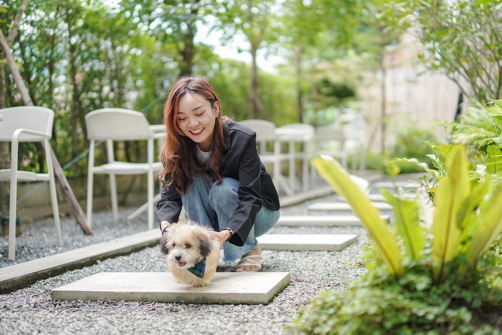 the singha hotel chiang mai sha certified