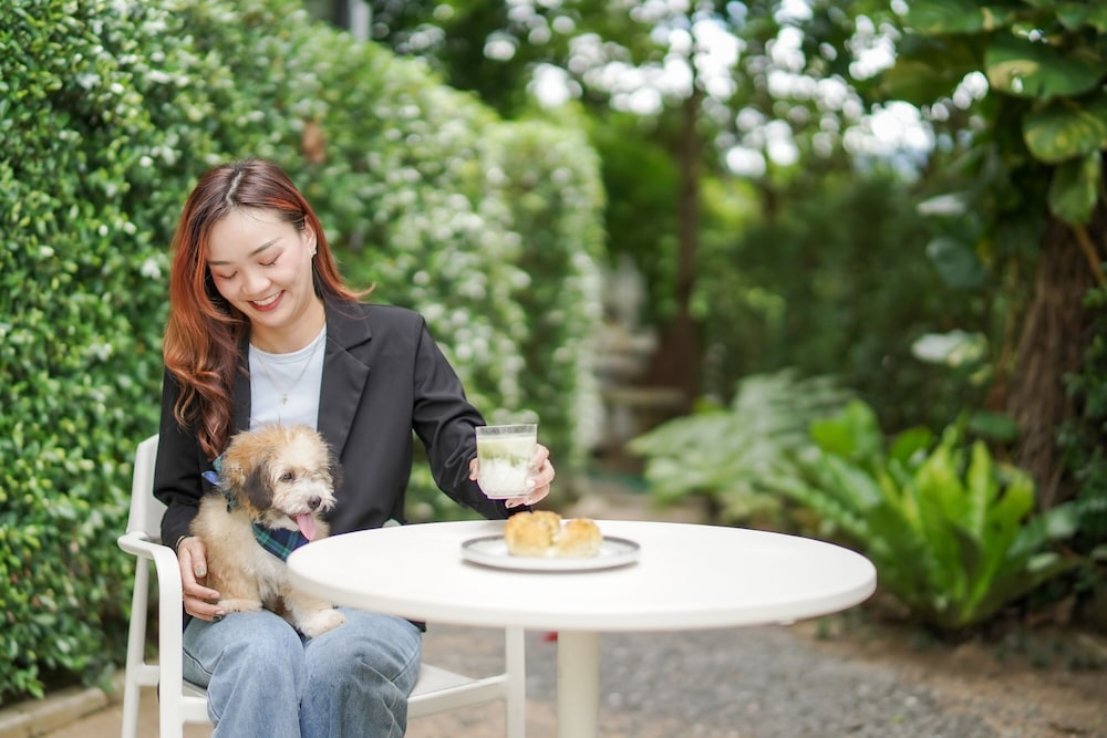 the singha hotel chiang mai sha certified