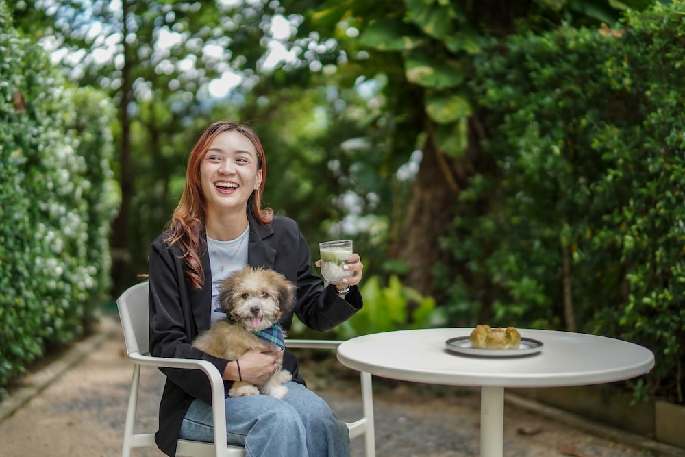 the singha hotel chiang mai sha certified