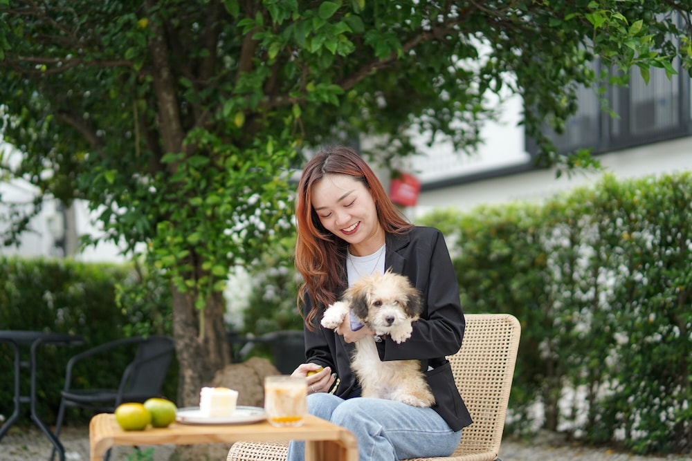 the singha hotel chiang mai sha certified