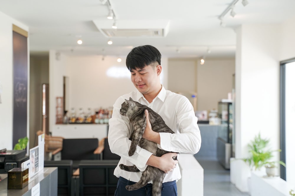 the singha hotel chiang mai sha certified