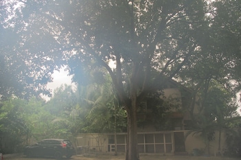 ap apartment