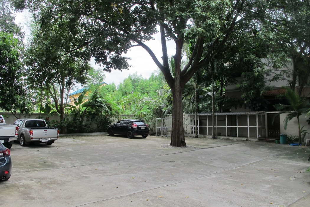 ap apartment