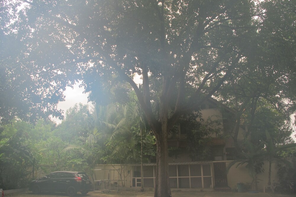 ap apartment