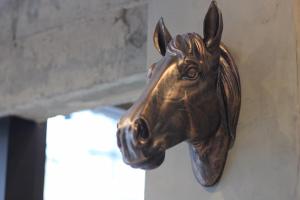 the ex capital hotel