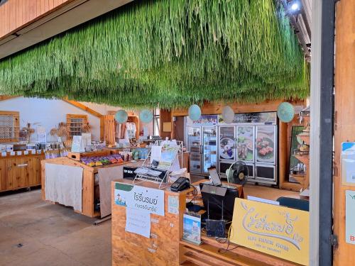 rai ruen rom organic farm