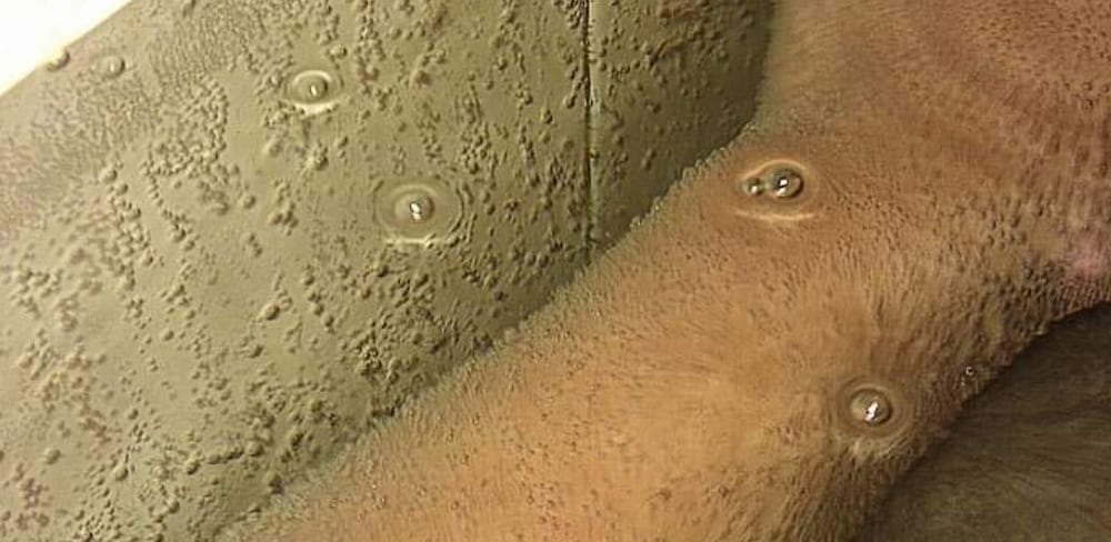 jin hua cold spring hotel