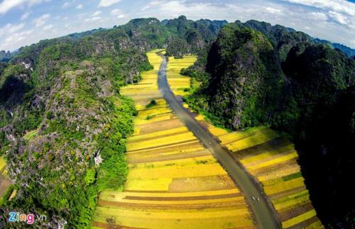 ha lan homestay