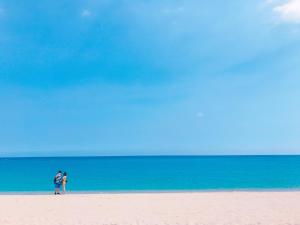 yellows kenting bandb
