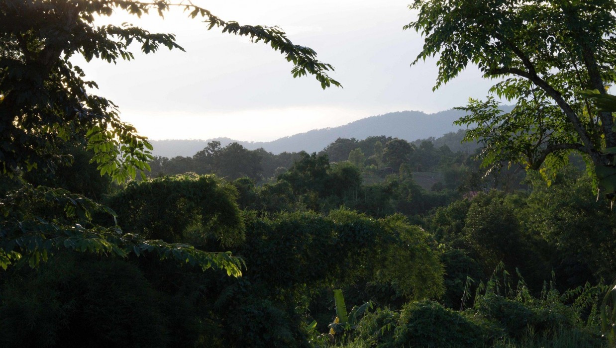 bambuh boutique homestay
