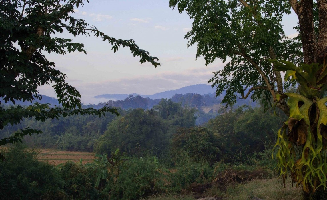 bambuh boutique homestay