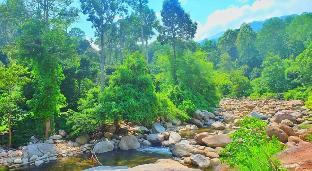 lan saka