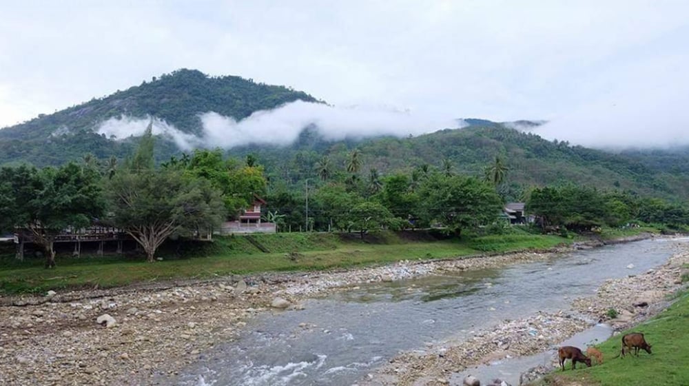 lan saka