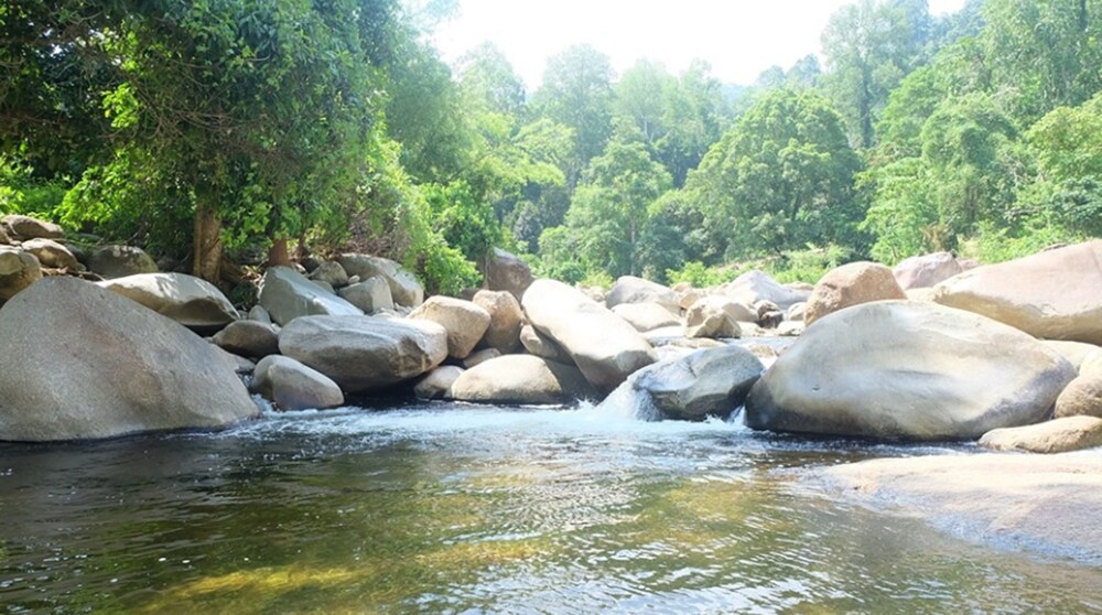lan saka