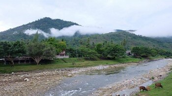 lan saka