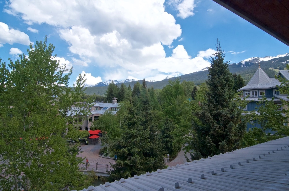 whistler blackcomb vr at town plaza