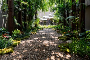 the bridge an eclectic luxotel chiangmai